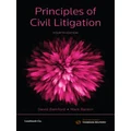 Principles of Civil Litigation by David Bamford