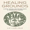 Healing Grounds by Liz Carlisle