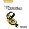 Agile Retrospectives : Pragmatic Programmers by Esther Derby