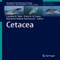 Cetacea by Caroline R. Weir