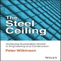 The Steel Ceiling by Peter Wilkinson