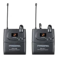 Pasgao PV70 Portable Wireless Audio System