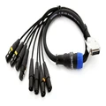 SWAMP 8-way DB-25 to XLR Digital I/O AES Cable TASCAM wiring - 3m