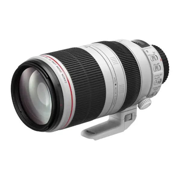 Image of Canon EF 100-400mm f4.5-5.6L IS USM II