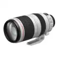 Canon EF 100-400mm f4.5-5.6L IS USM II