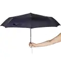 Korjo Umbrella