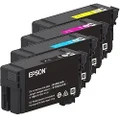 4 Pack Epson T41M UltraChrome XD2 Genuine Ink Cartridges (C13T41M200-500)