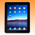 Apple iPad 2 Cellular (16GB, Grey) - Pristine
