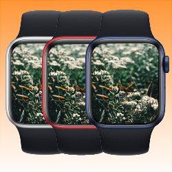 Apple Watch Series 6 (40MM)