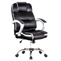 Advwin Ergonomic Office Chair Adjustable High Back PC Chair Desk Chair (Black)