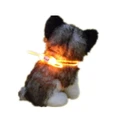 Colorful LED Pet Dog Collar Chain Luminous Light LED Dog Cat Night Light Collar ORANGE COLOR