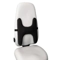 Kensington SmartFit Lumbar Back Rest for Chair/Office Posture Support Black