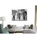 3 Sisters Black Trees Stretched Canvas Print