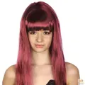 LONG WIG Straight Party Hair Costume Fringe Cosplay Fancy Dress 70cm Womens - Burgundy (22464)