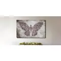 Butterfly Typography Stretched Canvas Prints