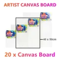 20x Artist Canvas Board Blank Oil Acrylic Painting 40X50 Stretched Canvases Art