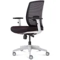 Rapidline Luminous Mesh Executive Chair High Back 420-510Mmh X 480Mmw X 545Mmd Black