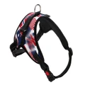 Dog Chain Explosion-Proof Breasted Strap For Walking Dog Leash - 8 Xl