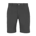 Asquith & Fox Mens Casual Chino Shorts (Slate) (3XL)