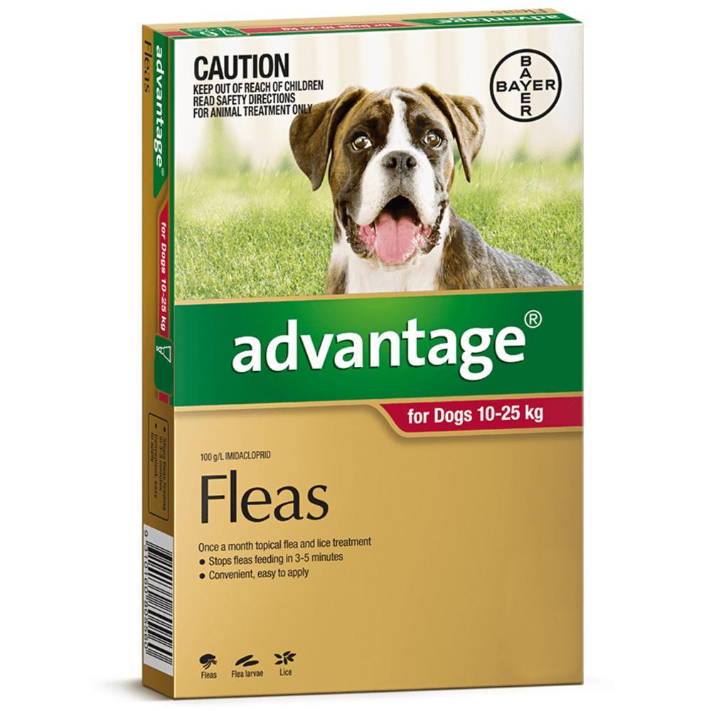 Advantage Large Dog 10-25kg Red Spot On Flea Treatment 1 Pack