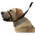 Canny Collar Stop Lead Pulling for Walking Training Size 2 28-33cm