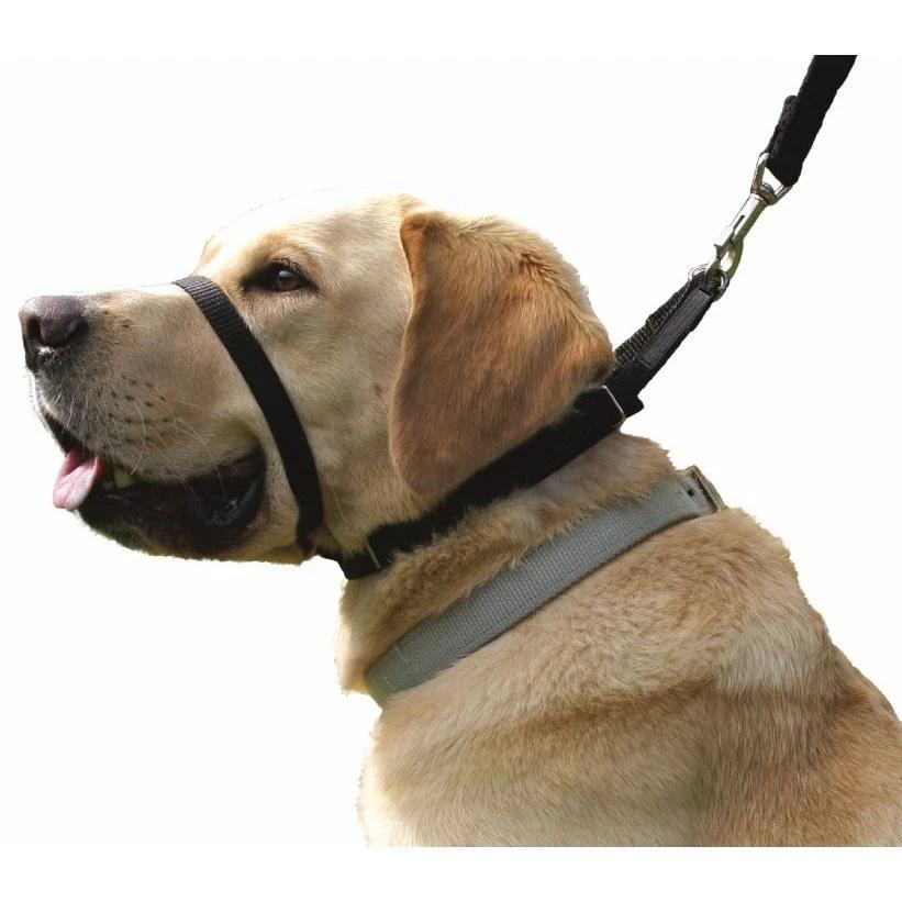 Canny Collar Stop Lead Pulling for Walking Training Size 3 33-38cm