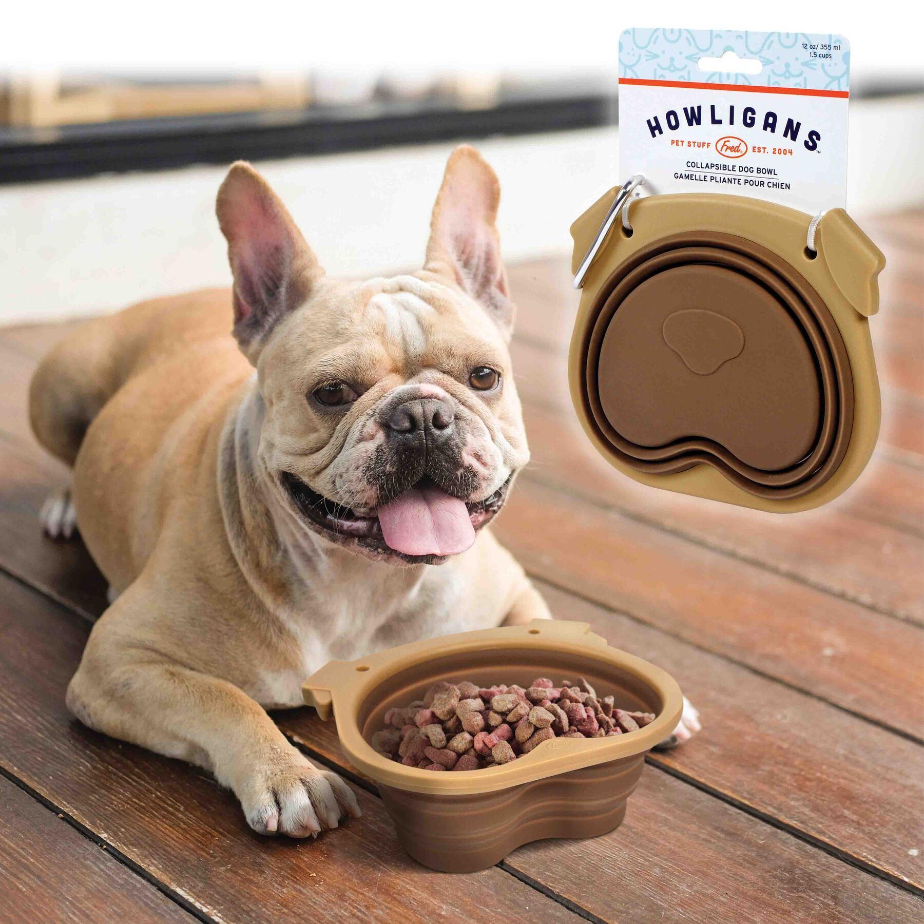 Collapsible Dog Bowl - Fred Howligans Portable & Durable Silicone