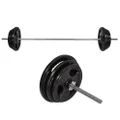 Total 73kg - 198cm Barbell Bar Weight + 65kg Ez Grip Cast Iron Weight Plate