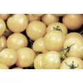 TOMATO 'White Cherry' seeds