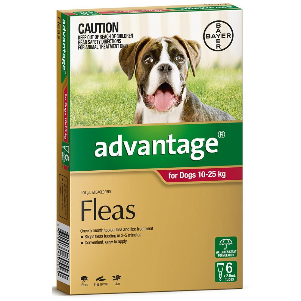 Advantage Fleas for Dogs 10 - 25kg - 6 Pack