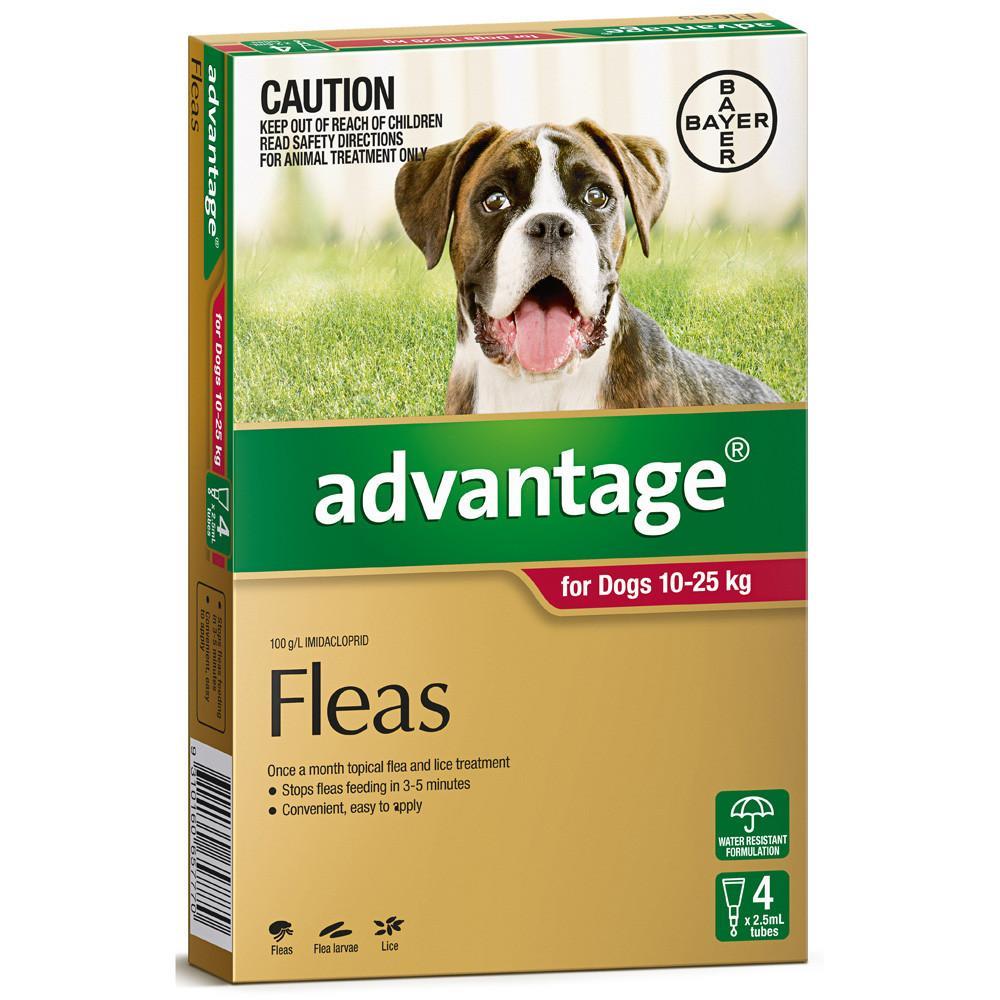 Advantage Fleas for Dogs 10 - 25kg - 4 Pack
