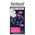 Sambucol Black Elderberry Syrup For Kids Immunity & Antioxidant Support - Berry Flavour, 230ml