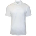Nike Mens Solid Victory Polo Shirt (White) (S)