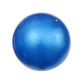 65cm 800g Professional Anti Burst Stability Yoga Ball Balancing Devcie Exercise Tool for Fitness Gym Workouts with Pump Air Clamp Stopper (Blue)