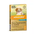 Advocate Blue Spot-On for Medium Dogs 4-10 kg 3 Pack