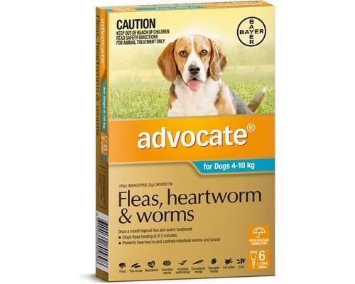 Advocate for Dogs 4-10 kgs - 6 Pack - Teal - Flea & Heartworm Control