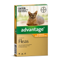 Advantage for Cats up to 4 kgs - 4 Pack - Orange - Flea Control Treatment (Bayer