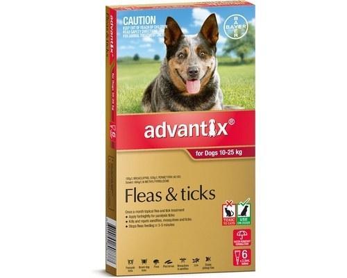 Advantix for Dogs 10-25 kgs - 6 Pack - Red - Flea, Tick & Insect Control