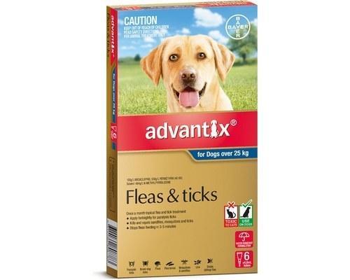 Advantix for Dogs over 25 kgs - 6 Pack - Blue - Flea, Tick & Insect Control