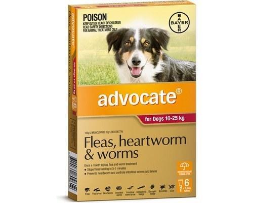 Advocate for Dogs 10-25 kgs - 6 Pack - Red - Flea & Heartworm Control