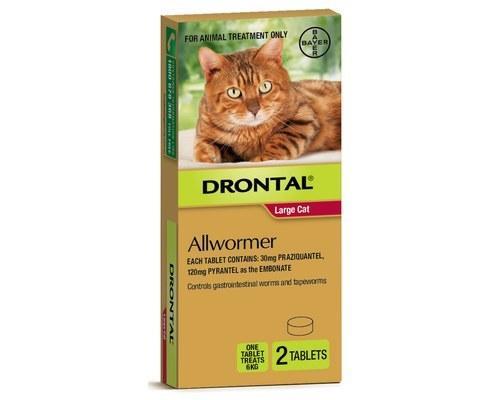 Drontal All Wormer Tablets for Large Cats Up To 6kgs - 2 Tablets (Bayer)