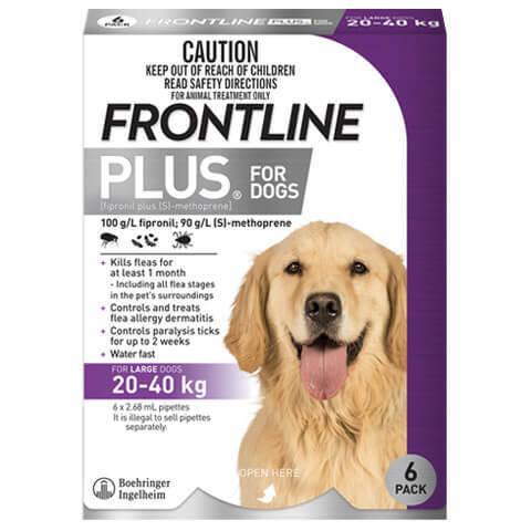 Frontline Plus for Large Dogs 20-40 kgs - 6 Pack - Purple - Flea & Tick Control
