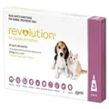 Revolution for Puppies & Kittens up to 2.5kg 3 Pack Pink - Flea & Heartworm (Zoe