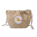 2 Pcs Portable Straw Women Shoulder Bag Classic Texture Creative Design Chic Daisy Flower Pleated Summer Woven Crossbody Money Pouch