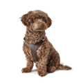 Hunter Aalborg Soft Genuine Leather Dog Harness, Dark Brown