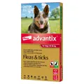 Advantix Spot-On Flea & Tick Control Treatment for Dogs 10-25kg - 3-Pack