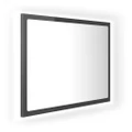 LED Bathroom Mirror High Gloss Grey 60x8.5x37 cm Acrylic vidaXL
