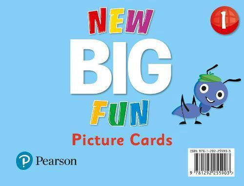 Big Fun Refresh Level 1 Picture Cards
