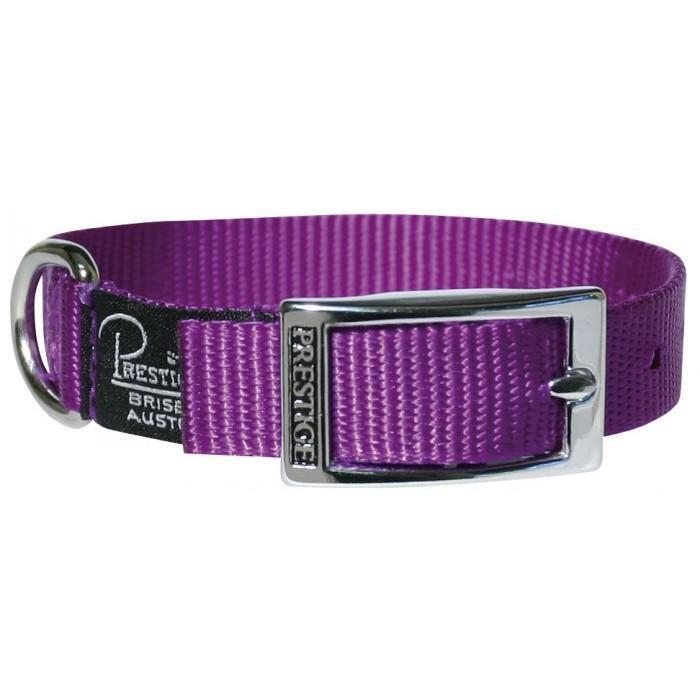 Prestige Pet Single Layer Nylon Adjustable Dog Collar Purple 3/4 Inch x 41cm