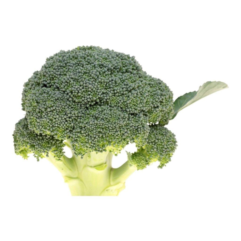 Broccoli - Marathon F1 seeds